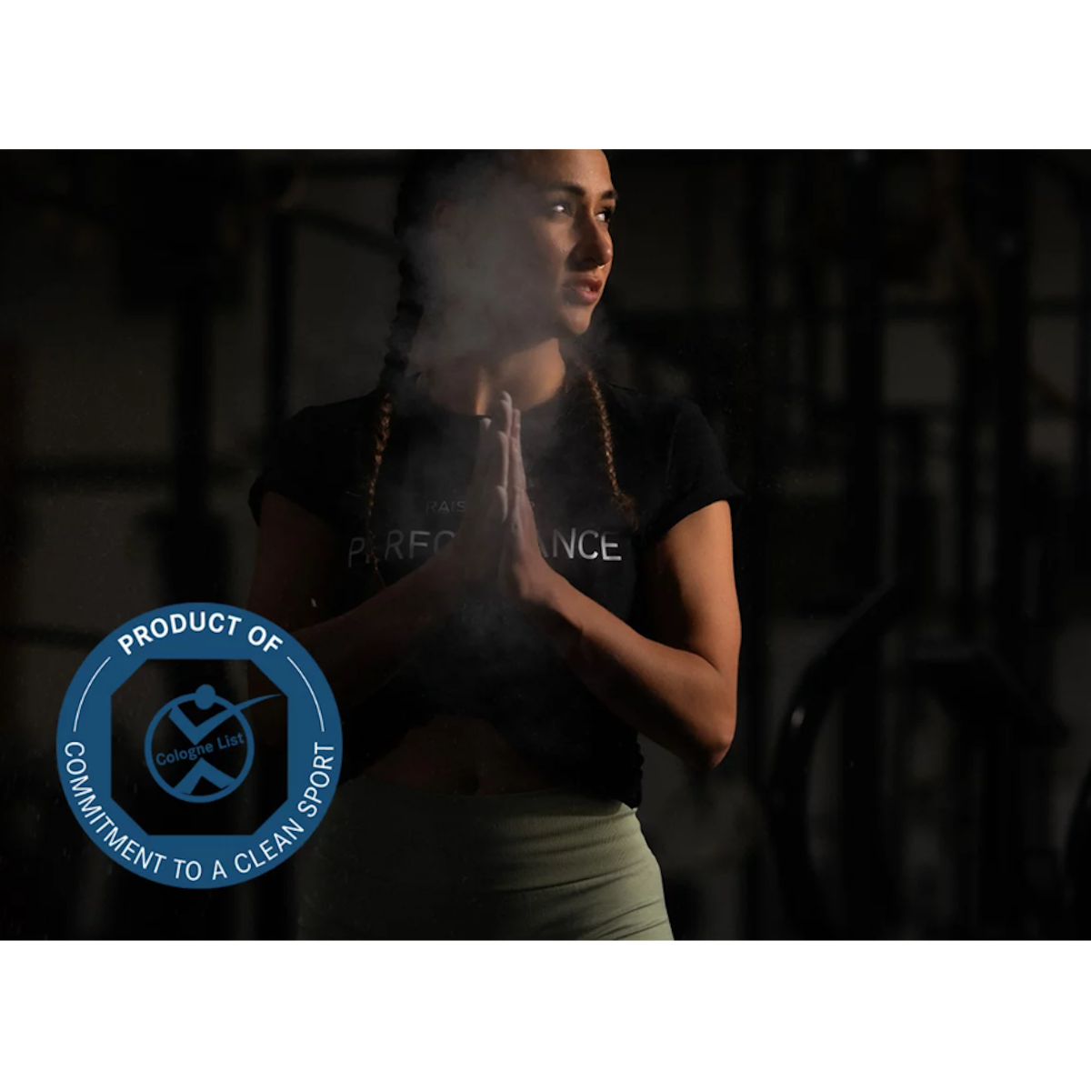 BIOGENA SPORTS BCAA 500 Biogena